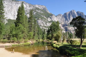 GoForCruise-GoForUSA-Amerika-Yosemite