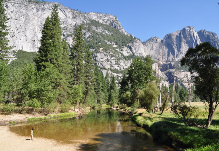 GoForCruise-GoForUSA-Amerika-Yosemite