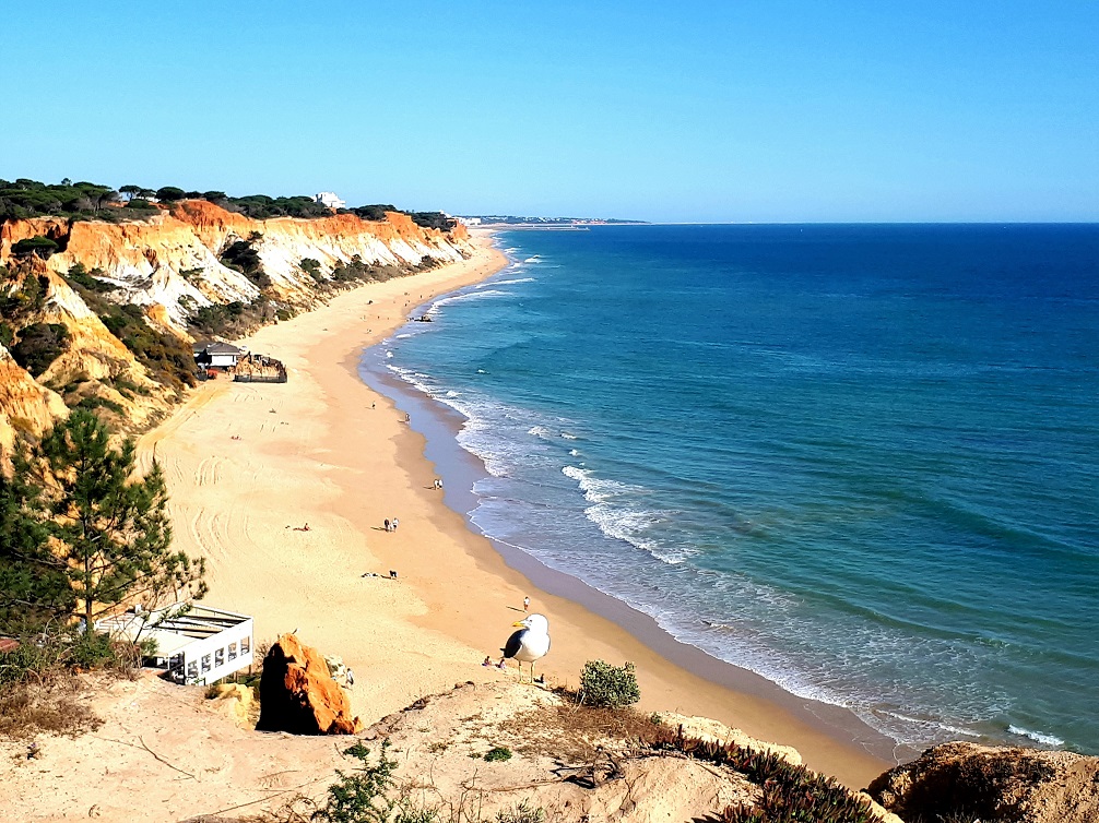 Go For Algarve 2020 - Tui Blue Falesia - Praia de Falesia 1