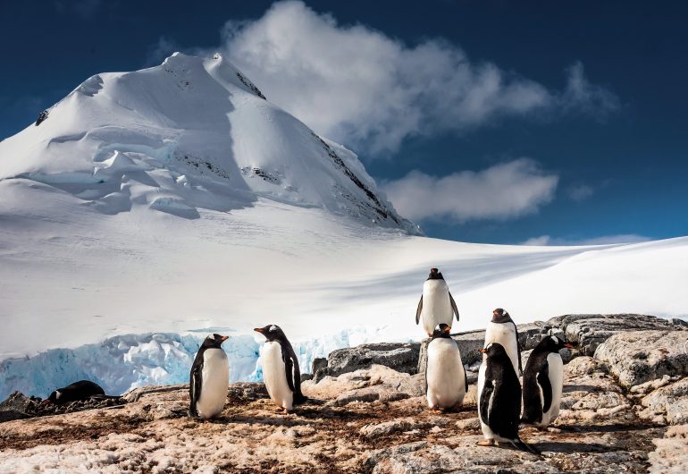 Zuidpool Expeditie Cruise Antarktis