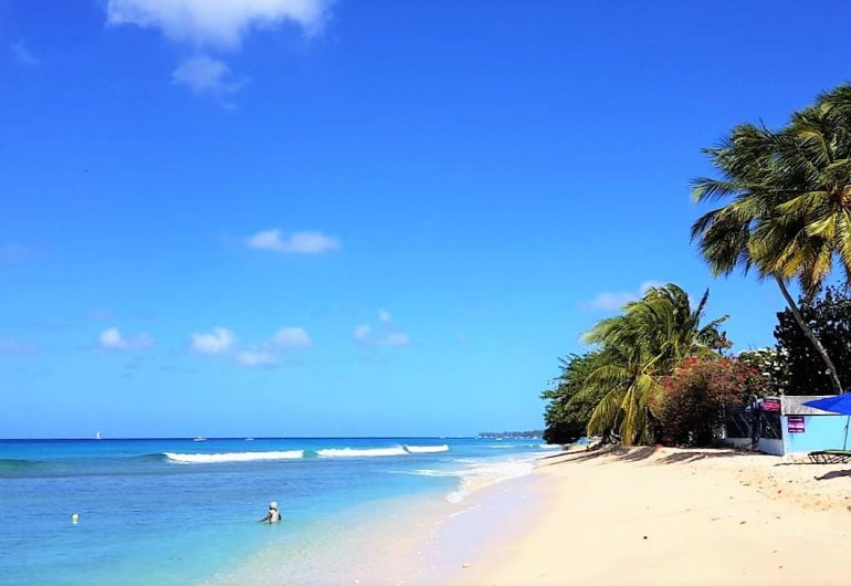 Go For Cruise - Caribische Oceania Cruise 2020 - Barbados - strand