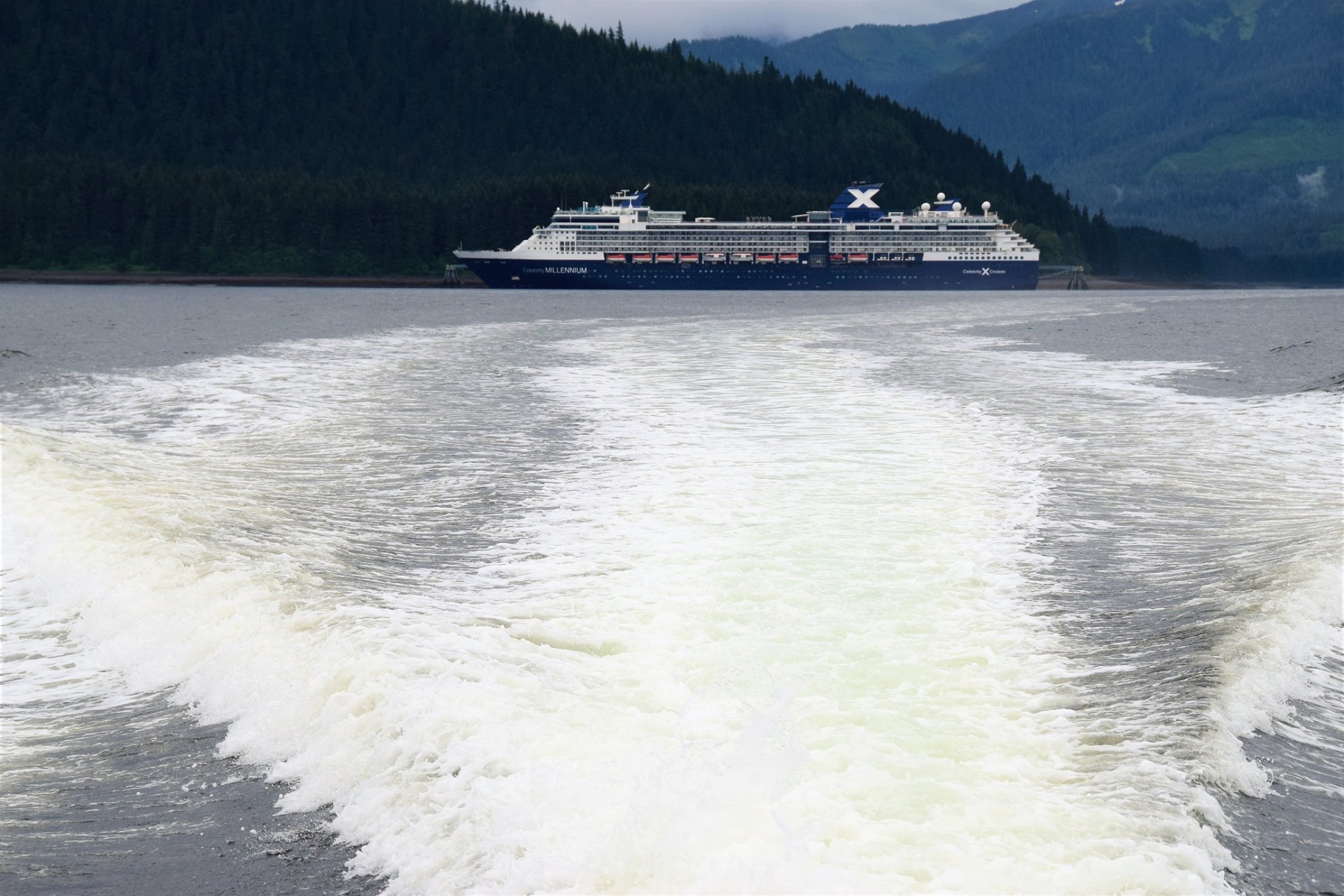 Alaska Rondreis en Cruise 2021 - Point Adolphus - Celebrity Millennium