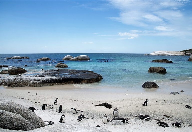 Zuidelijk Afrika Safari Cruise 2021 - CroisiEurope - Kaapstad - Kaap Hoorn