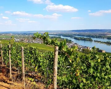 Rijn Luxe Riviercruise 2023 - Rüdesheim 3